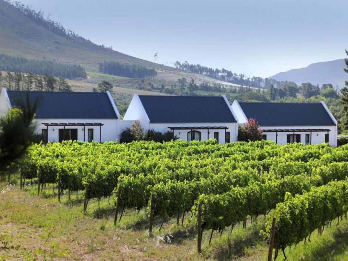 Chambray Estate - The Terraces In The Vines Bed & Breakfast Franschhoek Luaran gambar
