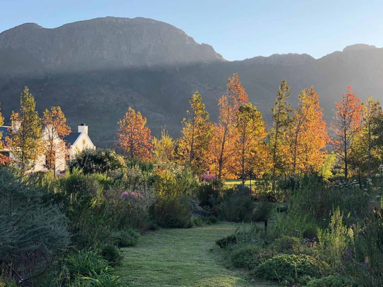 Chambray Estate - The Terraces In The Vines Bed & Breakfast Franschhoek Luaran gambar